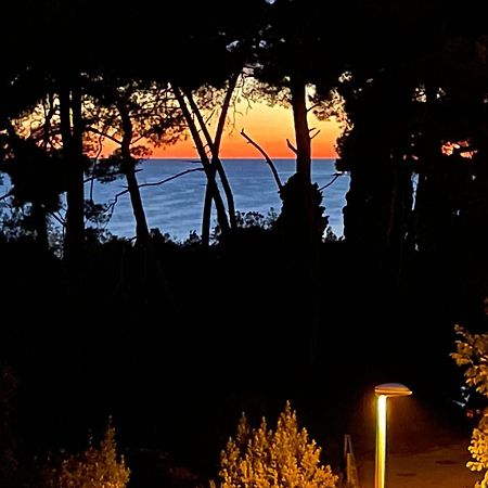 Robi Apartman Rovinj Kültér fotó